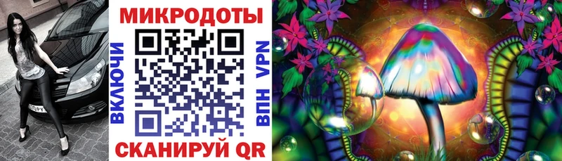 Псилоцибиновые грибы Psilocybine cubensis Монино